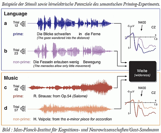 Stefan Koelsch: Nature Neuroscience 7(3), 2004: Music, Language and Meaning: Brain Signatures of Semantic Processing